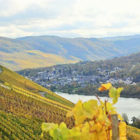 Apartment - Gaestehaus Koen *