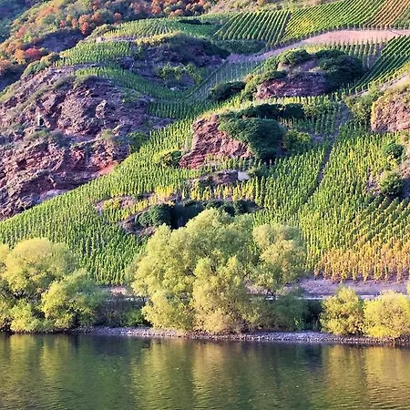 - Gaestehaus Koen Apartment