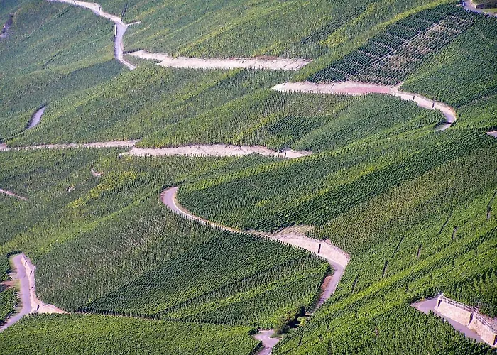 - Gaestehaus Koen Apartamento Zeltingen-Rachtig
