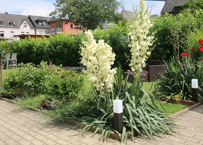 - Gaestehaus Koen Apartamento Zeltingen-Rachtig